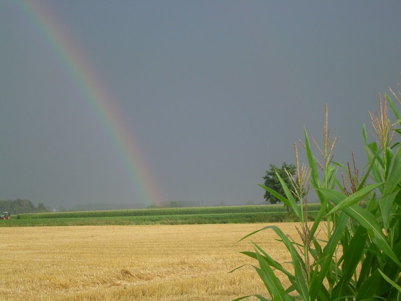 Regenbogen