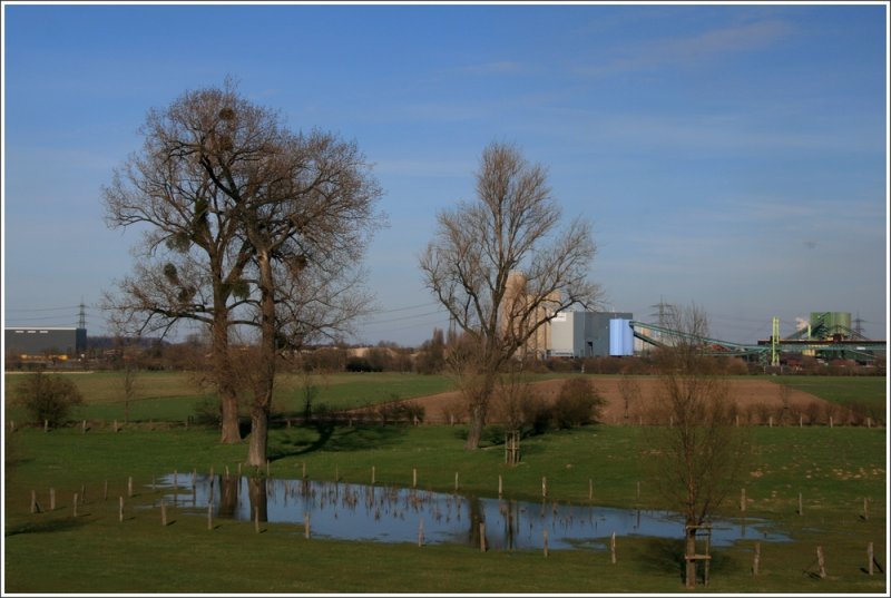 Rheinauen Duisburg-Binsheim