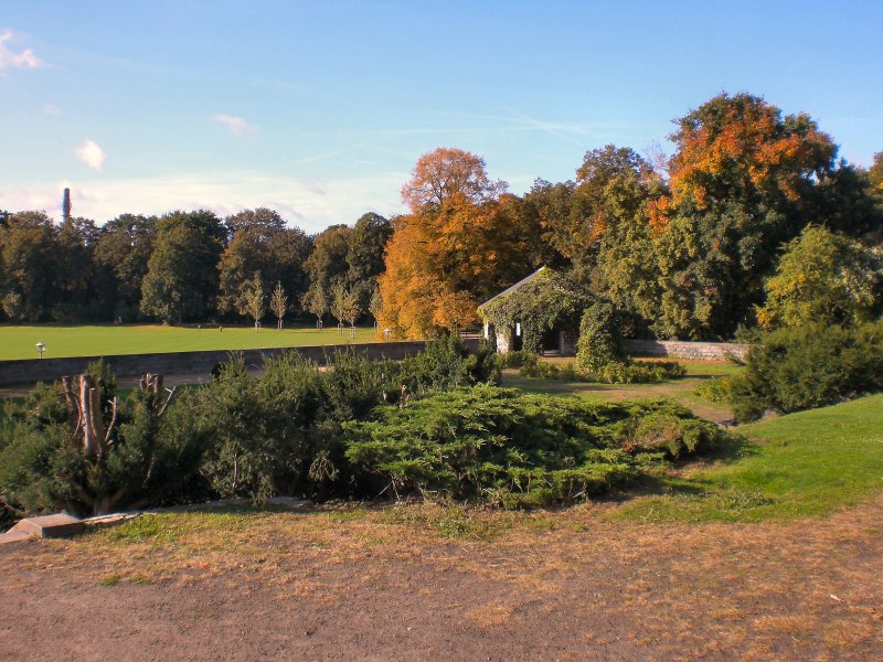 Schillerpark in Berlin-WEDDING, Herbst 2007