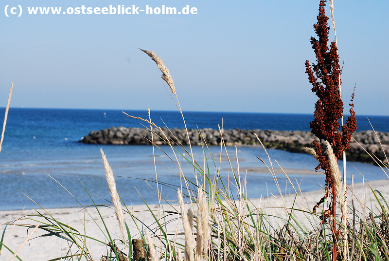 Schnberger Strand
http://www.ostseeblick-holm.de