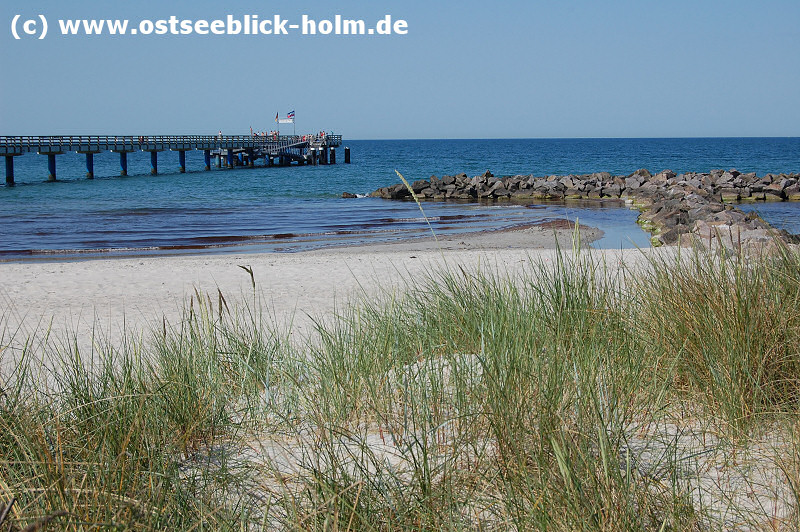 Schnberger Strand
http://www.ostseeblick-holm.de