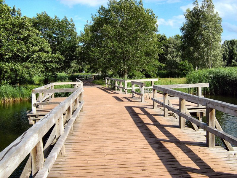 Sommer im Britzer Garten, 2007