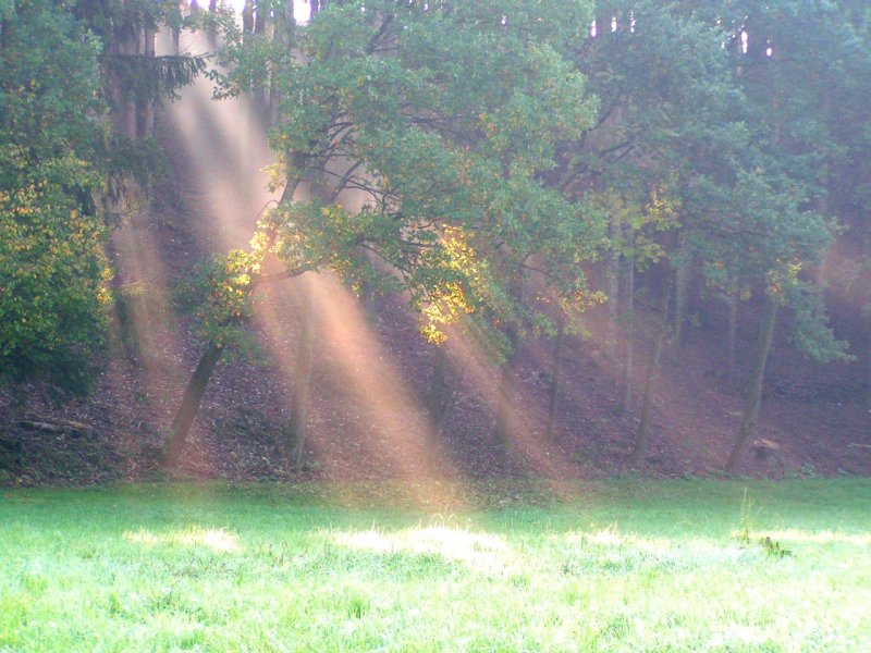 Sonnenstrahlen in herbstlicher Landschaft; 071007