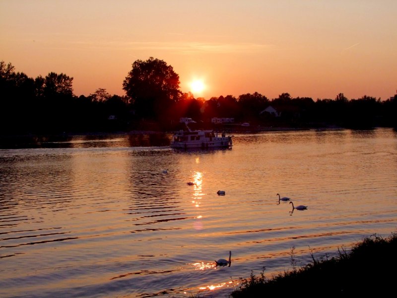 Sonnenuntergang in Breisach/Rhein; 080830