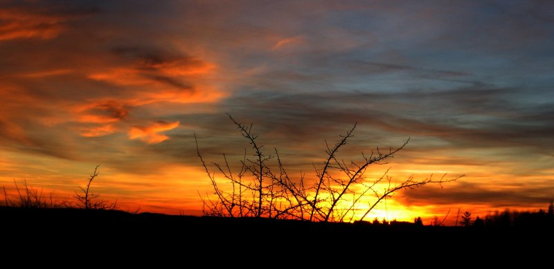 Sonnenuntergang in Pfarrkirchen am 20.01.2008  