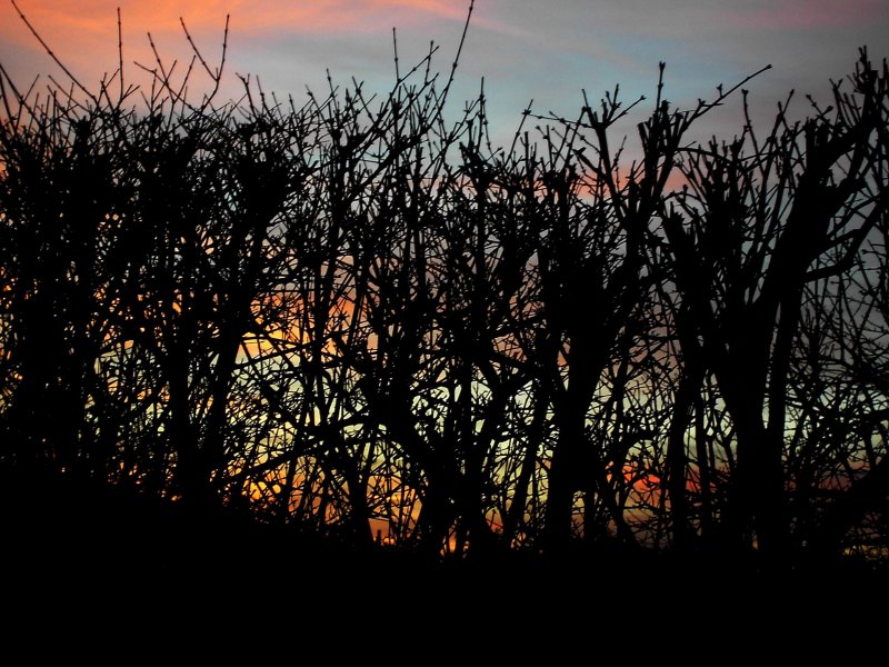 Sonnenuntergang in Pfarrkirchen am 20.01.2008  