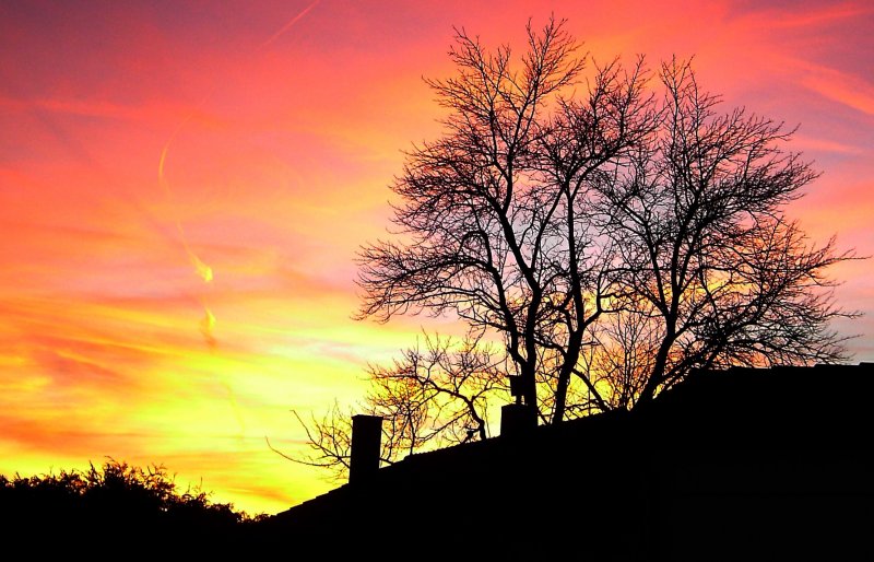 Sonnenuntergang in Pfarrkirchen am 20.01.2008  