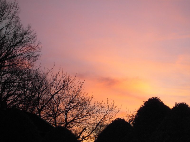 Sonnenuntergang in Pfarrkirchen am 20.01.2008  