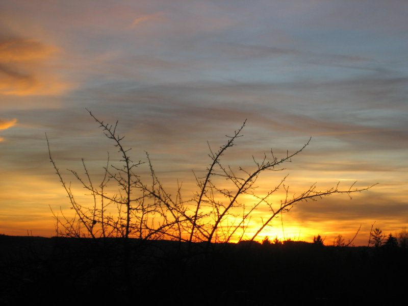 Sonnenuntergang in Pfarrkirchen am 20.01.2008  