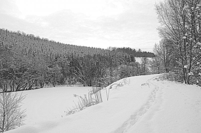 Spuren im Schnee