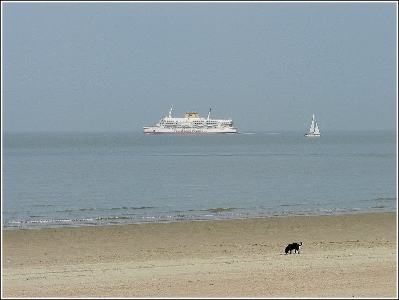 Strandimpressionen in Oostende. 11.04.09 (Jeanny)