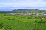 Sasbach am Kaiserstuhl, Blick von Süden auf den Weinort, dahinter der 272m hohe Limberg und am Horizont die Vogesen, Aug.2024