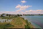 Blick vom Seeburgpark in Kreuzlingen (CH) auf den Bodensee Richtung Konstanz.
[12.7.2018 | 14:26 Uhr]