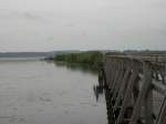 Noch ein Blick auf den Federsee bei Bad Buchau(03.08.2011). Das Bild entstand LEGAL von einem Steg aus.