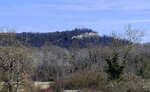 Blick vom Rheindamm über die Auenwälder zum 272m hohen Limberg bei Sasbach am Kaiserstuhl, März 2025