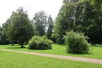 Blick in den Prinzengarten in Sigmaringen am 18. Juli 2024.