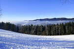 Winter am Lindenberg bei St.Peter/Schwarzwald, Dez.2024