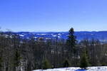 Blick vom 1241m hohen Kandel im mittleren Schwarzwald Richtung Süd-Ost über die Schwarzwaldberge, am Horizont die Schweizer Alpen, Jan.2025