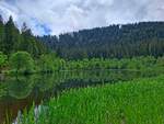 Sankenbachsee bei Baiersbronn im Schwarzwald am 30.05.2024