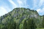 Der Hirschberg oberhalb von Bad Hindelang (Oberallgäu/August 2011)