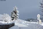 Nur kurz kam die Sonne heraus, so dass ein Foto fällig war: wir sind in Schweineberg, ein Ortsteil von Ofterschwang oberhalb von Sonthofen im Oberallgäu (Januar 2012)