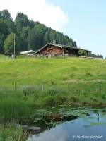 Alpe Gschwendnerberg oberhalb des Alpsees bei Immenstadt-Bühl (August 2010)