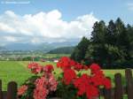 Blick vom Gasthof  Bergwirt  in Hüttenberg über Westerhofen im Vordergrund und dahinter Sonthofen hinweg in das Ostrachtal (Oberallgäu - August 2010)