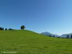 Wittelsbacher Höhe und Grünten auf einem Blick (Oberallgäu - August 2010)