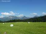 Über abgemähte Wiesen geht der Blick auf Oberstdorfer Berge mit einigen Wölkchen als Garnitur (Oberallgäu - August 2010)