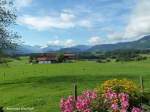 Allgäuer Hauptkamm von der morgendlichen Sonne angestrahlt, gesehen von der Terrasse von Cafè Mayr in Ofterschwang-Schweineberg (Oberallgäu - August 2010)