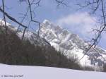 Durch die alten Bergahornbäume hinter Gerstruben: Blick auf die Höfats-Spitze (Oberallgäu - Ostern 2004)