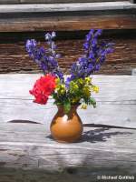 Wildblumenstrauß auf der Alpe Gschwendnerberg bei Immenstadt-Bühl (Kreis Oberallgäu, Juli 2008)