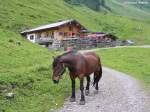 Alpe Dietersbach im gleichnamigen Tal hinter Gerstruben gelegen (Oberstdorf, Oberallgäu, Juli 2008)