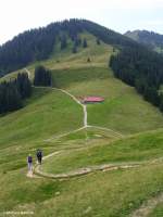 Panoramaweg über den Hörnern westlich des Illertales (Landkreis Oberallgäu, Sommer 2009)