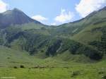 Nahe bei der Käseralpe im hinteren Bereich des Oytales hinter Oberstdorf (Oberallgäu, August 2009)