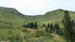 Die Schlappold-Alpe im Fellhorngebiet inmitten der Grasberge (Landkreis Oberallgäu, September 2013)