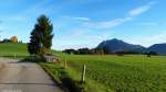 Blick auf den Grünten (rechts hinten) sowie die Wittelsbacher Höhe mit der herbstlich bunten Linde (links hinten), der höchstem Erhebung in Ofterschwang-Schweineberg (Landkreis Oberallgäu, Bayern, Oktober 2013)