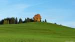 Die alte Linde steht auf der Wittelsbacher Höhe - von Wiesen umgeben - in Ofterschwang-Schweineberg (Landkreis Oberallgäu, Bayern, Oktober 2013)