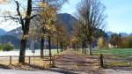 Bergahorn-Allee hinter Oberstdorf (Landkreis Oberallgäu, Bayern, Oktober 2013)