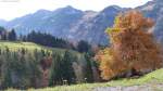 Blick ins Trettachtal von Gerstruben aus (Oktober 2013)