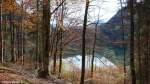 Der letzte Sonnenschein leuchtet in den herbstlichen Wälder rund um den Freibergsee bei Oberstdorf, bevor die Sonne hinter dem Berg veschwindet (Oktober 2013)