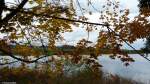 Am Niedersonthofener See bei Waltenhofen südlich von Kempten/Allgäu (Oktober 2013)