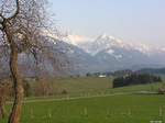 Blick von Café Mayr in Ofterschwang-Schweineberg hinüber auf das Rubihorn (Oberallgäu - Ostern 2004)