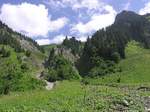 Dietersbachtal, ein Seitental des Trettachtales: hinter Gerstruben geht ein bequem zu gehender Wanderweg bis zur Dietersbachalpe (Landkreis Oberallgäu - Sommer 2004)