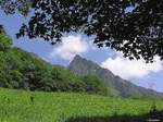 Der Höfats oberhalt des Dietersbachtals (Landkreis Oberallgäu - Sommer 2004)