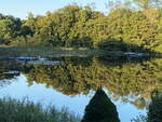 Am Rande des Scharmützelsee am 22. September 2024 hier in Wendisch Rietz.