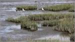 Im Watt vor Spieka-Neufeld. 03.10.2014