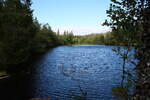 Der Silberteich bei Braunlage hat heute ein unglaublich strahlendes Tiefblau; Aufnahme vom späten Nachmittag des 14.09.24 am Südwestufer...