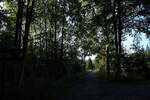 Stimmung am frühen Abend des 15.09.2024 auf der Odertalstraße im niedersächsischen Harz; Blick nach Nordwesten...