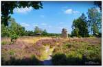 Löns-Denkmal am Wietzer Berg in der Südheide. Anfang August 2024 zur Heideblüte.